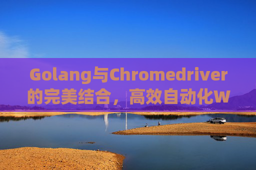 Golang与Chromedriver的完美结合,高效自动化Web测试与爬虫应用 Golang与Chromedriver的完美结合,高效自动化Web测试与爬虫应用